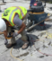 Structural Repair and Strengthening – Ensuring Longevity in Large Developments